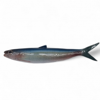 Ceramic Fish - Mediterranean Alewife, 22 cm