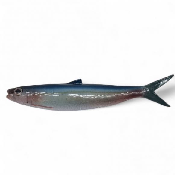 Pesce in ceramica mediterraneo alaccia