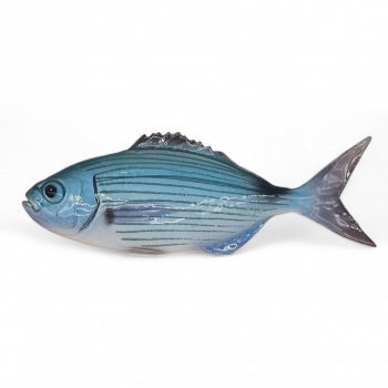 Pesce in Ceramica - Occhiata mediterranea cm 22