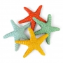 Caltagirone Sicilian ceramic Star Fish cm 16
