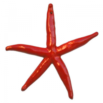 Stella Marina ceramica