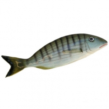 Pesce Ceramica Mormora cm 20