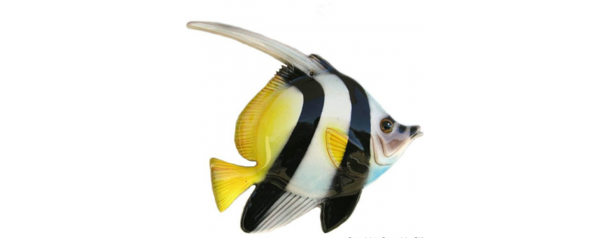 Pesci in Ceramiche di Caltagirone - Vendita online - Pagamento paypal